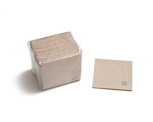 Napkins Paper 2 layers 20x20cm ECO - pack 100 units