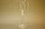 Glass of Champagne Unbreakable 180 ml (Tritan) Cx 12 uni.